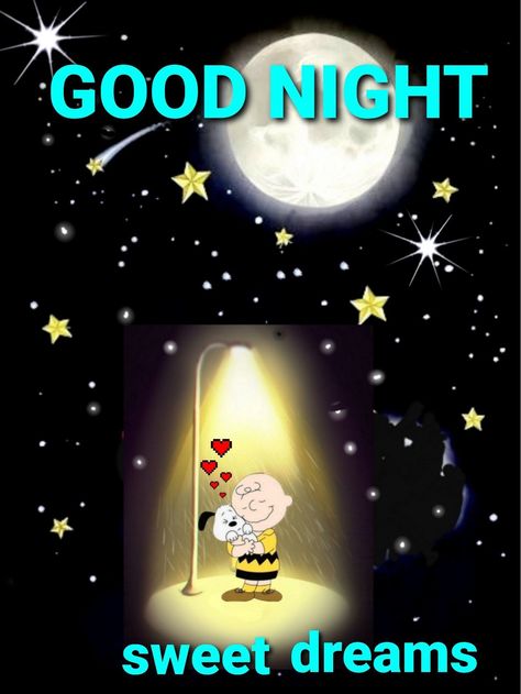 Good Night Snoopy Sleep Tight, Snoopy Sleep, Snoopy Good Night, Good Night Snoopy, Goodnight Snoopy, Lovely Good Night, Gif Cute, Evening Pictures, Good Night Sleep Tight