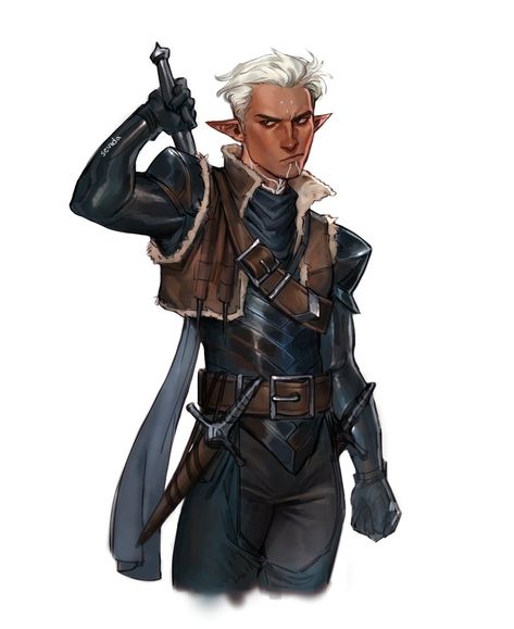 Dragon Age Fenris, Dragon Age Elf, Rogue Character, Dragon Age Romance, Dnd Elves, Dragon Age Characters, Dragon Age 2, Dungeons And Dragons Characters, Dnd Art