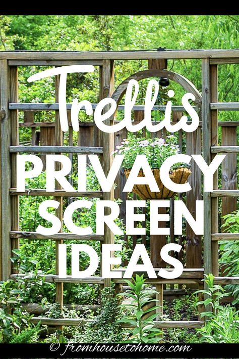 I love these backyard privacy ideas. Great ideas for pergolas, trellises, and privacy screens that will help to keep the neighbors from seeing into your yard. #fromhousetohome #privacy #backyard #gardening Backyard Privacy Ideas, Trellis Privacy, Lattice Privacy Screen, Privacy Trellis, Patio Trellis, Clematis Trellis, Yard Privacy, Privacy Ideas, Patio Privacy Screen