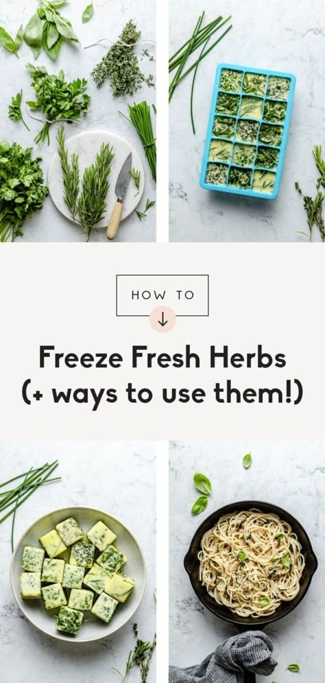 How To Freeze Herbs, Freeze Herbs, Freezing Food Guide, Ice Cube Tray Recipes, Freezing Fresh Herbs, Beef Appetizers, Freezing Herbs, Soup Chicken, Ambitious Kitchen