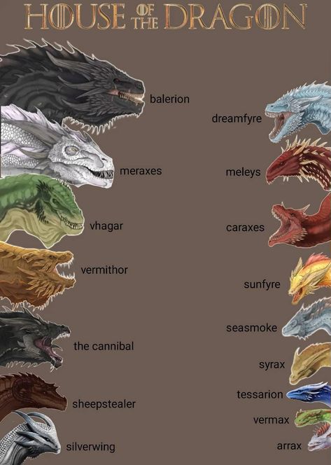 Hotd Dragons, Dragon Anatomy, Witcher Wallpaper, Types Of Dragons, Game Of Thrones Artwork, Dragon Names, Dragon House, Game Of Thrones Dragons, Got Dragons