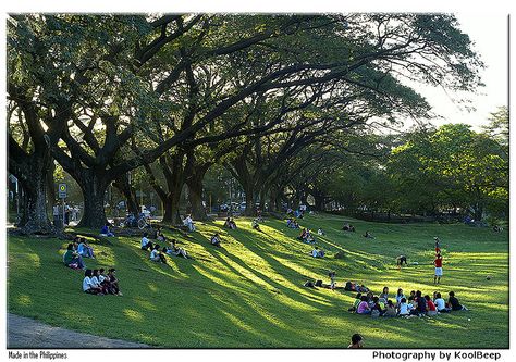 The UP Sunken Garden in Quezon City, Philippines is a sanctuary! Up Sunken Garden, Sunken Garden, Quezon City, Philippines, Dolores Park, Travel, Quick Saves