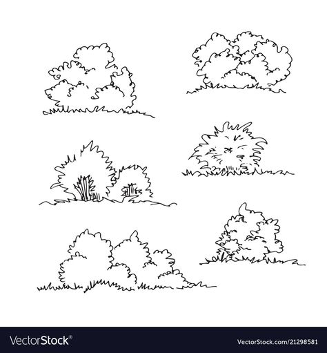 Bushes Sketch Architecture, Bushes Drawing Architecture, Bush Architecture Drawing, Bush Drawing Pencil, How To Draw A Bush, Bush Drawing Simple, How To Draw Bushes, Bush Doodle, Flower Bush Drawing