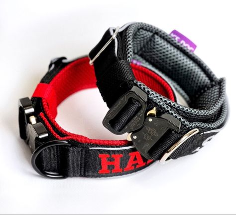 Collar hard ❤️ Canine Odyssey, Turquoise Dog Collar, Purple Dog Collar, Dog Equipment, Service Dogs Gear, Green Dog Collar, Personalized Leather Dog Collar, Velvet Dog Collar, Red Dog Collar