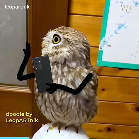 Birds With Arms Video, Hands Animation, Birds With Arms, Animated Animals, Video Credits, Funny Gif, Birds, Funny, Animals