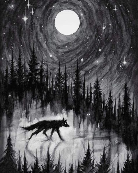 Lone Wolf Drawing, Black Wolf Art, Wolf At Night, Lone Wolf Art, Shadow Wolf, Creature Of The Night, Creatures Of The Night, Scary Art, Black Wolf