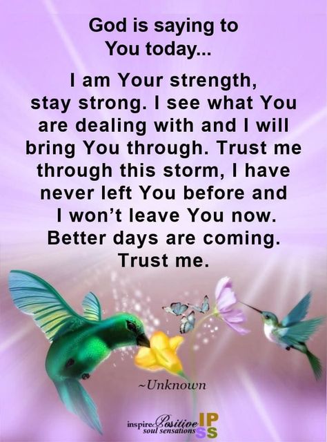 Praying For Strength Quotes, Inspiring Verses, Give Me Strength Quotes, Stay Encouraged, God Is Saying, Pray For Strength, Morning Sayings, Building Character, Prayers Of Encouragement