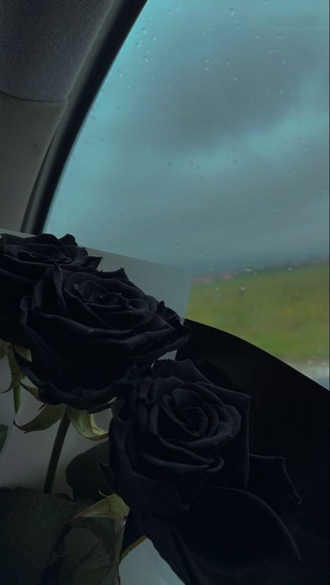 Black Flowers Bouquet, Black Rose Bouquet, Ig Edit, Black Bouquet, Dark & Stormy, Black Rose Flower, Rose Belle, Travel Picture Ideas, Rose Noir