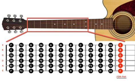 How to Memorize the Notes on a Guitar Fretboard - A Guide for Beginners Guitar Guide For Beginners, Fret Board Notes, Notes On A Guitar, Guitar Fret Board Notes, All Notes On Guitar, Acoustic Guitar Notes For Beginners, How To Learn Guitar Chords, Guitar Exercises For Beginners, Guitar Fretboard Notes