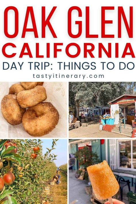 Cool Places In California, Oak Glen California, Los Angeles Day Trips, Fall Apple Picking, Oak Glen, Apple Festival, Apple Farm, Places In California, Berry Picking