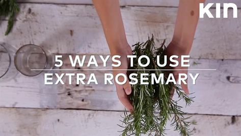 What To Do With Extra Rosemary, What To Do With Rosemary, Easy Diys, Rosemary Leaves, How To Dry Rosemary, At The Store, The Store, Rosemary, Easy Diy