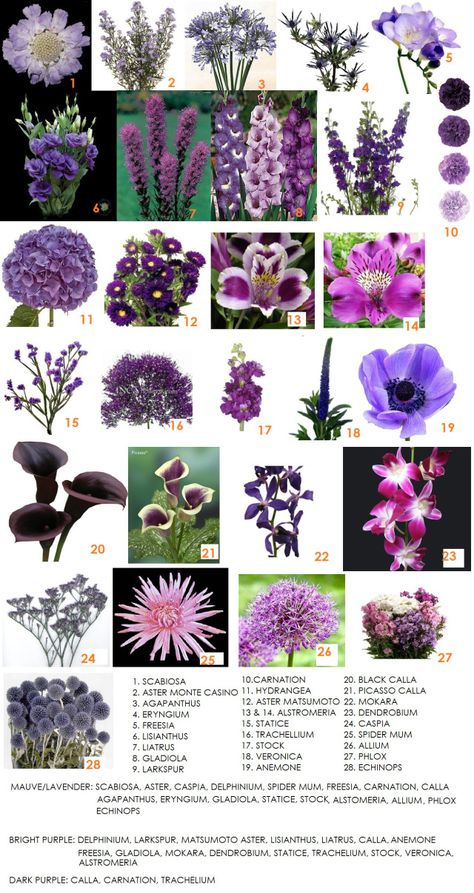 Rosen Beet, Flower Chart, Purple Bouquet, Flower Guide, Purple Wedding Flowers, Have Inspiration, Flower Names, Arte Floral, Types Of Flowers