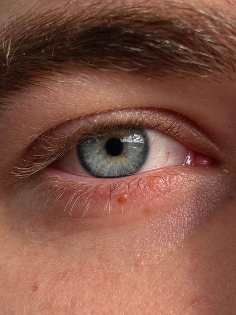 Ice Blue Eyes Aesthetic Male, Blue Eyes Man Aesthetic, Blue Eye Close Up, Cornflower Blue Eyes, Boy With Blonde Hair And Blue Eyes, Blue Eye Guy, Bright Blue Eyes Aesthetic, Blue Eye Men, Grey Eyes Men