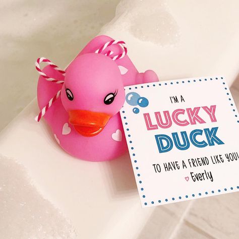 Rubber ducky Valentine. #kidsvalentine #toddlervalentine #rubberduck Duck Valentines For Kids, Rubber Duck Valentine Printable, Rubber Duck Valentines For Kids, Decorated Rubber Ducks, Flamingo Rubber Duck, Princess Valentines, Crazy Straws, Valentines Day Words, Starbucks Card