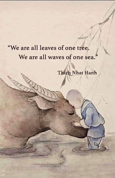 Thich Nhat Hanh Quotes, Zen Quotes, Buddhist Quotes, Thich Nhat Hanh, Oct 11, One Tree, Quotable Quotes, A Quote, Wise Quotes