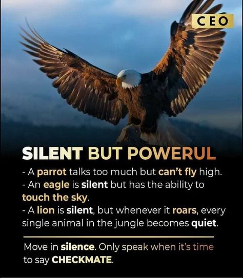 Eagle Attitude Quotes, Smart Quotes Wisdom, Eagle Quotes, Eagles Quotes, Mehendi Bridal, Lone Wolf Quotes, Ceo Mindset, Man Rules, Mercedes G63