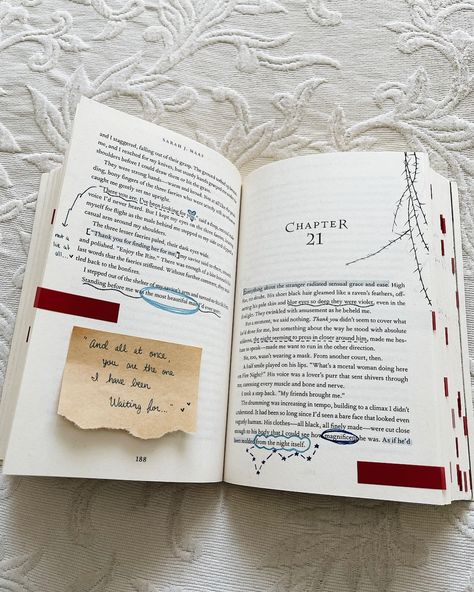 Book Annotations Ideas, Acomaf Annotations, Annotating Acotar, Acotar Annotations, Book Annotation Ideas, Preppy Books, Annotation Tips, Books Annotation, Annotated Book