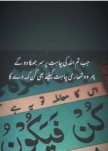 Islamic Baatein, Quranic Quotes, 1 Line Quotes, Quran Sharif, Inspirational Quotes In Urdu, Dear Zindagi, One Line Quotes, Urdu Funny Quotes, Alhumdulillah Quotes