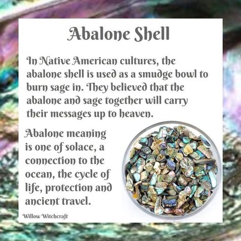 Abalone Shell Meaning, Seashells Witchcraft, Crystal Seashells, Crystal Uses, Sage Smudging, Healing Gemstones, Crystals Healing Properties, Spiritual Crystals, Crystal Healing Stones