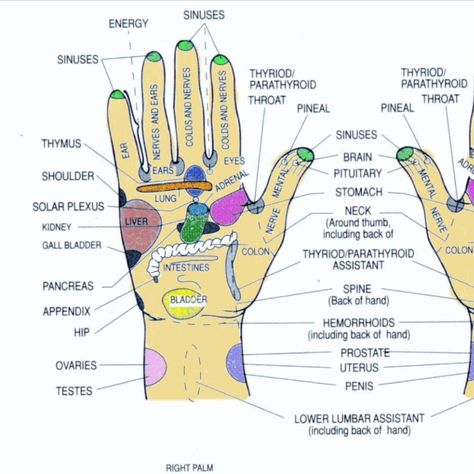 It works. Believe me Acupressure Points Chart, Hand Pressure Points, Acupressure Chart, Ear Reflexology, Reflexology Points, Massage Pressure Points, Pressure Point Therapy, Acupressure Point, Foot Reflexology Massage