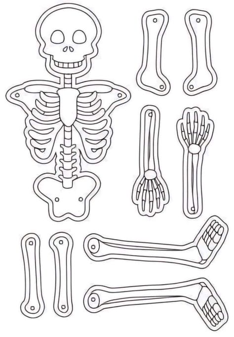 Skeletal System Project, Skeleton For Kids, Skeleton Template, Skeleton Parts, Toddler Sensory Bins, Short Moral Stories, 2nd Grade Art, Halloween Arts And Crafts, Toddler Sensory