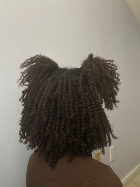 Twists On Natural Hair Hairstyles, Twisted Hairstyles For Natural Hair, How To Style Short Mini Twists, 4c Twist Out, Black Hairstyles Natural Hair, Twist Out Hairstyles, Twist Outs On Natural Hair, Mini Twists Natural Hair, Twist Out Styles