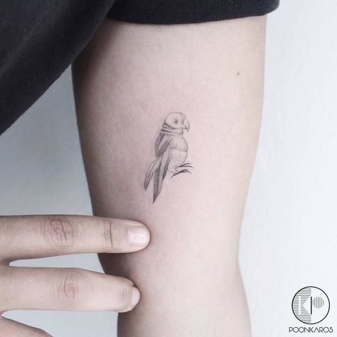 Tiny Frida Kahlo's Parrot Tattoo by poonkaros Budgie Tattoo Minimalist, Parakeet Tattoo Black And White, Tiny Parrot Tattoo, Fine Line Parrot Tattoo, Small Parrot Tattoo, Budgie Tattoo, Parakeet Tattoo, Lovebird Tattoo, Black And Grey Tattoo Design