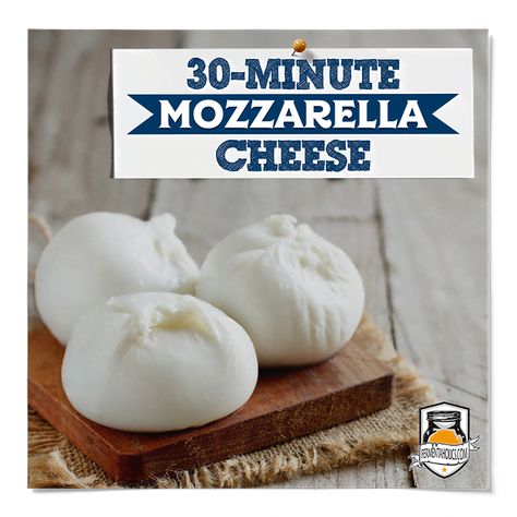 30-Minute Mozzarella Cheese Recipe: Quick and Easy DIY Cheese Making Traditional Kimchi Recipe, Mozzarella Cheese Recipe, Make Mozzarella Cheese, Homemade Mozzarella Cheese, Recipes With Mozzarella Cheese, Raw Cheese, Fermented Sauerkraut, Diy Cheese, Sauerkraut Recipes