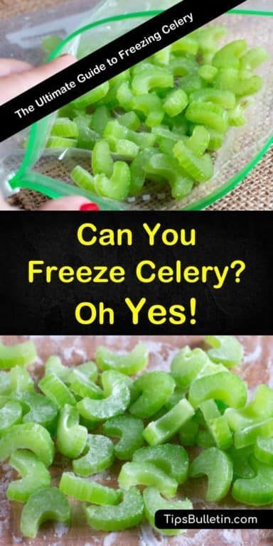 Freeze Sauces, Freezing Celery, Can You Freeze Celery, Freeze Celery, How To Freeze Celery, Freezing Food Guide, Medicine Tips, Soups Stews, Frozen Veggies