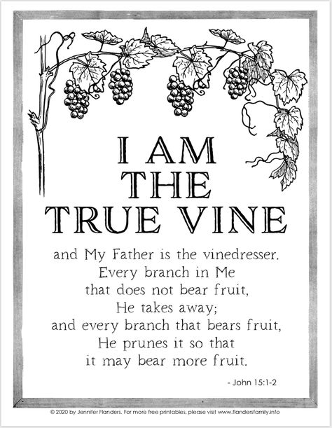 I Am the Vine Coloring Page Free Coloring Sheets For Kids, Scripture Art Journaling, The Gospel Of John, Vine Drawing, Jesus Coloring Pages, Vine And Branches, John 15 5, True Vine, Gospel Of John