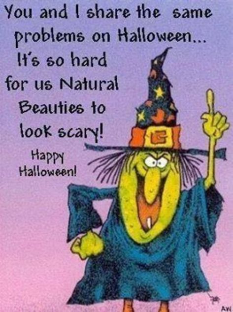 10 Really Funny Halloween Quotes & Pictures Funny Halloween Pictures, Happy Halloween Quotes, Halloween Humor, Halloween Jokes, Halloween Quotes Funny, Halloween Memes, A Broom, My Funny Valentine, Halloween Quotes