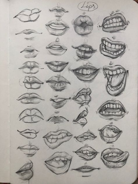 Mouth Drawing Practice, Sketchbook Ideas Anatomy, Mouth Sketch Reference, Lips Anatomy Drawing, Lip Shapes Drawing, Lips Art Reference, Drawing Of Mouth, Sketches Of Lips, Things To Practice Drawing