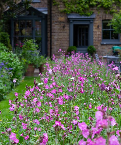 Wildflower garden ideas: 10 ways to grow meadow flowers | Wildflower Garden Ideas, Lake House Backyard, Pink Wild Flowers, Bug Hotel, Wild Flower Meadow, House Backyard, Wildflower Meadow, Bee Friendly, Attracting Bees