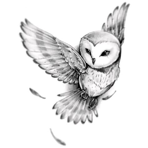 Lovely beautiful gray owl. Style: Black and Gray. Color: Gray. Tags: Cute, Beautiful Mexican Owl Tattoo, Owl Tattoo For Women Unique, Owl Arm Tattoo, Barn Owl Tattoo, Face Sketches, Owl Tattoo Drawings, Random Tattoos, Realistic Face, Nerdy Tattoos