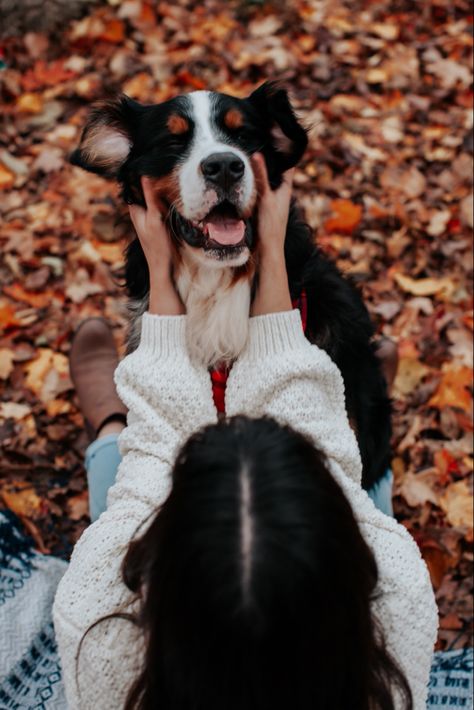 Mom And Dog Photoshoot Fall Ideas, Fall Pictures With Dog Photo Ideas, Fall Dog And Owner Photoshoot, Bernese Mountain Dog Fall, Family Fall Photoshoot With Dog, Pumpkin Patch Dog Photoshoot, Mom And Dog Photoshoot Fall, Fall Picture Ideas For Couples With Dogs, Photo Shoot Ideas With Dogs