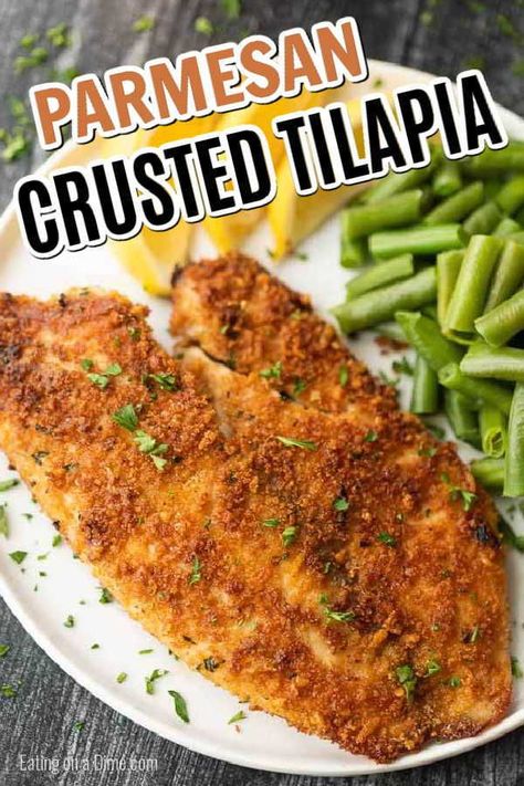 Tilapia Recipes With Rice, Pan Fried Fish Recipes Tilapia, Parmesan Crusted Tilapia Pan Fried, Pan Fried Tilapia Crispy, Parm Crusted Tilapia, Tilapia Recipes Parmesan Crusted, Tapia Fish Recipes, Tilapia Recipes Fried, Pan Fried Fish Recipes Simple