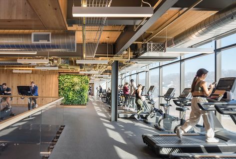 Quinnipiac Wellness Center — designLAB architects Fitness Center Interior Design, Wellness Center Design, Amenity Space, Fitness Center Design, College Workout, Quinnipiac University, Gym Center, Adaptive Sports, Sport Center