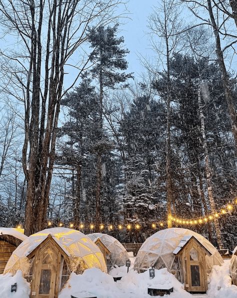 7 Winter Things to Do in Northern Michigan (Lower Peninsula) ❄️ Petoskey Michigan Winter, Winter In Michigan, Michigan Travel Winter, Boyne Mountain Resort, Alpena Michigan, Michigan Travel Destinations, Saginaw Michigan, Frankenmuth Michigan, Michigan Winter