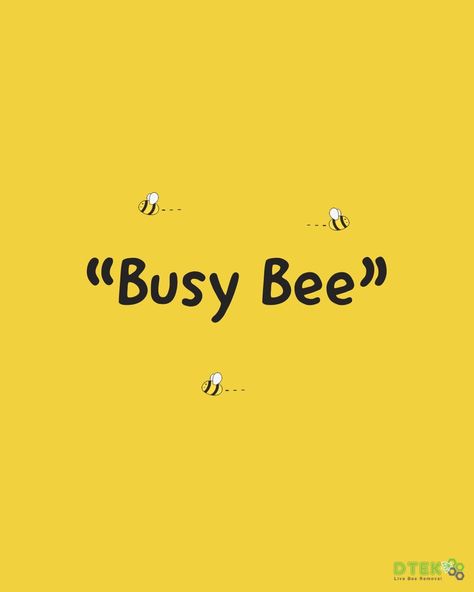 Bees are famous for being industrious, and the comparison of busy people to bees goes back to at least the 16th century. In 1715, English poet Isaac Watts used the phrase in a moral poem advising against idleness and mischief: “How doth the little busy bee / Improve each shining hour, / And gather honey all the day / From every opening flower!” Busy As A Bee Quotes, Bee Captions, Busy Bee Quotes, Busy Captions, Busy Day Quotes, Busy People Quotes, Busy Quote, Bees Quotes, Bee Pics