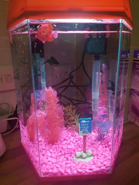 Girly Fish Tank Ideas, Girly Aquarium Ideas, Fish Tanks Aesthetic, Pink Fish Tank Ideas, Preppy Fish Tank, Cute Fish Tank Ideas Aesthetic, Tropical Core Bedroom, Cute Fish Tanks, Girly Fish Tank