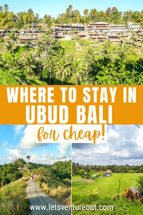 Photo collage of attractions in Ubud Ubud Resort, Tropical Place, Romantic Couple Getaways, Ubud Hotels, Bali Itinerary, Bali Honeymoon, Bali Resort, Bali Travel Guide, Bali Hotels