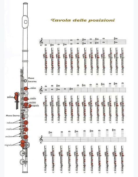 Flute Fingering Chart, Flute Lessons, Reading Sheet Music, Piano Notes Songs, Clarinet Music, Song Notes, Whatsapp Wallpaper Cute, Flute Sheet Music, Music Practice