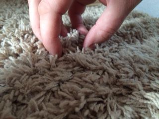 Spot Clean Area Rugs with this Magic Water Trick Magic Water, Carpet Cleaning, Spot Cleaner, How To Clean Carpet, Shag Rug, Seattle, Area Rug, Carpet, Area Rugs