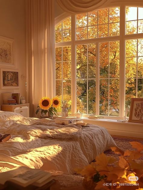 Sun Filled Apartment, Sunshine Room Aesthetic, Sunrise Room, Egyptian Bedroom, Sunny Apartment, Sunshine Room, Background References, Android Wallpaper Art, Sunset Glow