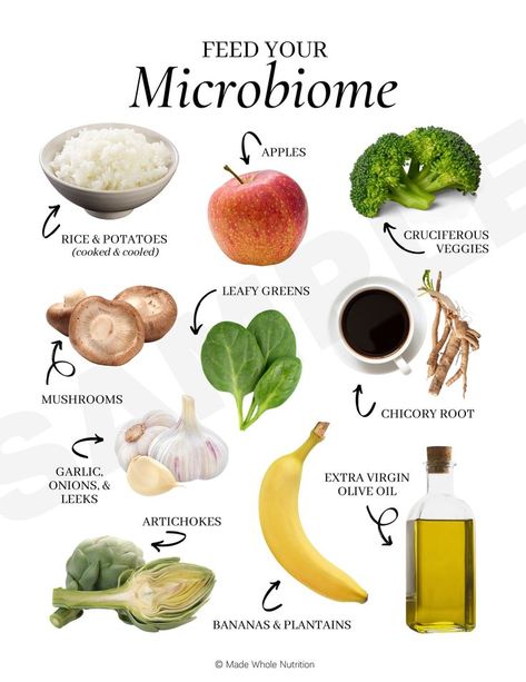 Feed Your Microbiome Handout — Functional Health Research + Resources — Made Whole Nutrition #turkey #tail #mushroom #benefits Healthy Gut Biome, Food For Microbiome, Gut Biome Foods, Micro Biome Diet, Gut Biome Diet, Gut Microbiome Diet, Gut Healthy Lunch Ideas, Microbiome Foods, Microbiome Diet Recipes