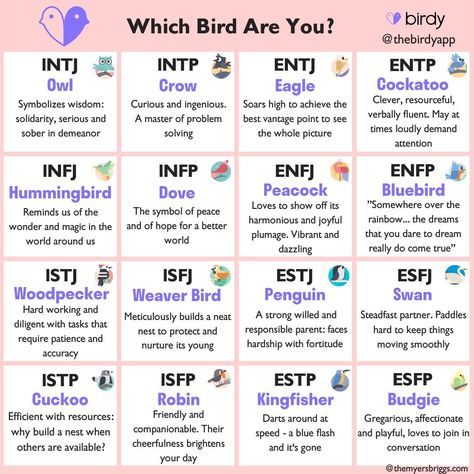 Typology Mbti, Mbti Compatibility Chart, Love Types, Mbti Compatibility, Istp Estp, Intp Entj, Introvert Extrovert, Entj Entp, Rarest Personality Type