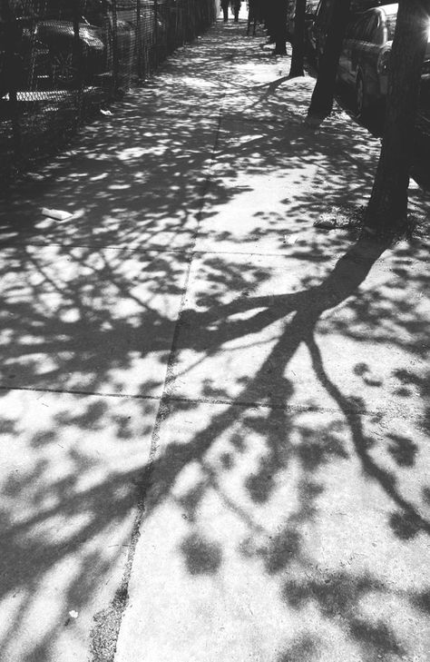 dappled pavements Sunlight Shadow Aesthetic, Light And Shadow Art, City Shadow, Shadow Tree, Light And Shadow Photography, Tree Shadow, Shadow Shadow, Shadow Silhouette, Shadow Photography