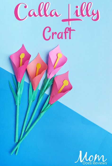 Calla Lilly Craft #papercraft #craft #flowers #easycraft Lily Flower Craft, Calla Lily Meaning, Lily Craft, Greek Goddess Hera, Backyard Science, Lily Meaning, Pink Calla Lily, Craft Spring, Summer Display