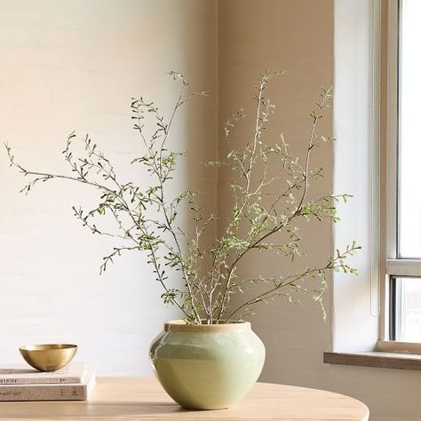 planters | West Elm