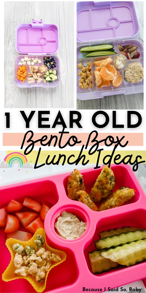 1 year old lunch ideas Lunch Ideas For Daycare One Year Old, Childcare Lunch Ideas, Daycare Lunchbox Ideas, Baby Lunches For Daycare, No Heat Daycare Lunches, Lunch Ideas For 1 Year Daycare, Bento Box Toddler Lunch Ideas, Lunch For 1 Year, Daycare Bento Box Lunch Ideas